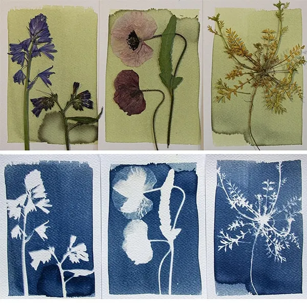 DIY Cyanotype Art Kit