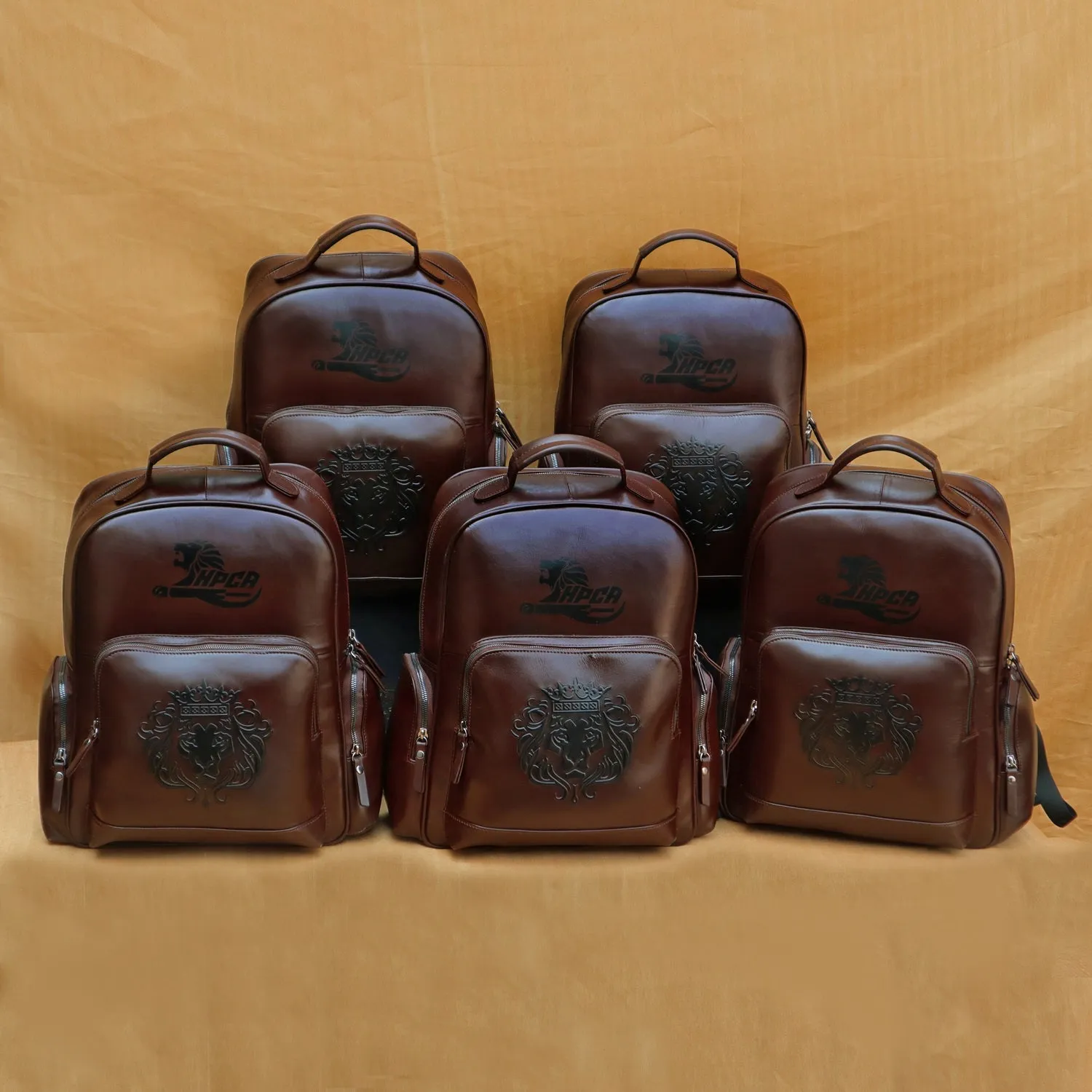 Himachal Pradesh Cricket Academy 2022 Custom Made Bulk Order Leather Dark Brown Backpack(Reference Price for 1 Unit)