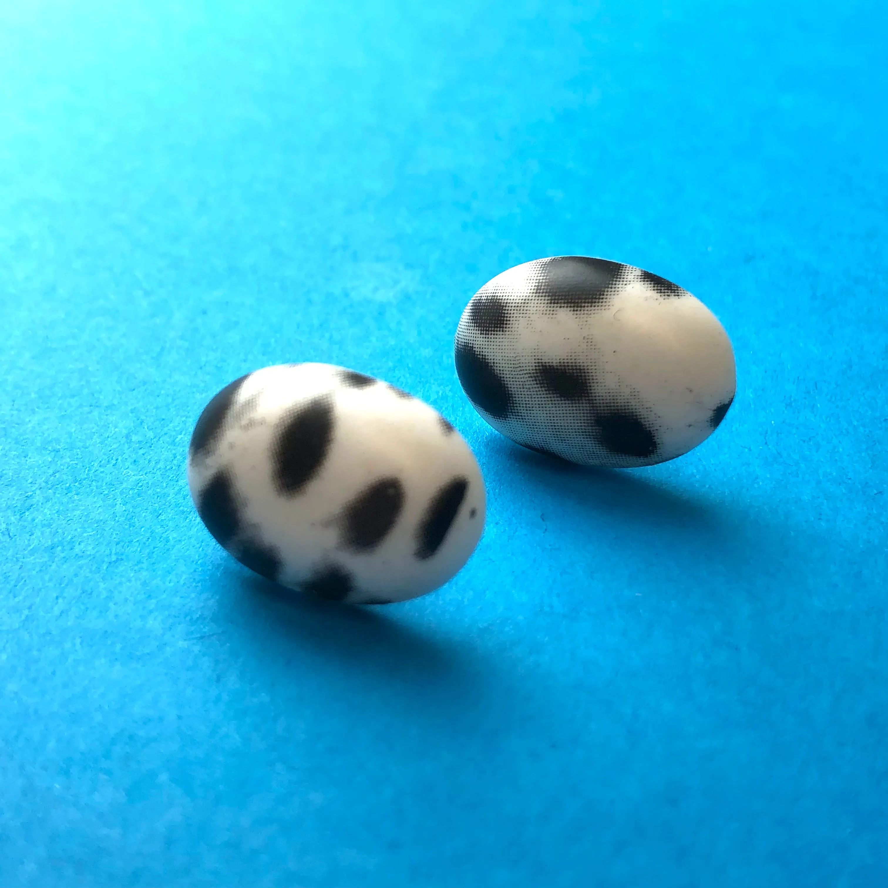 Spotted Dalmatian Oval Button Stud Earrings