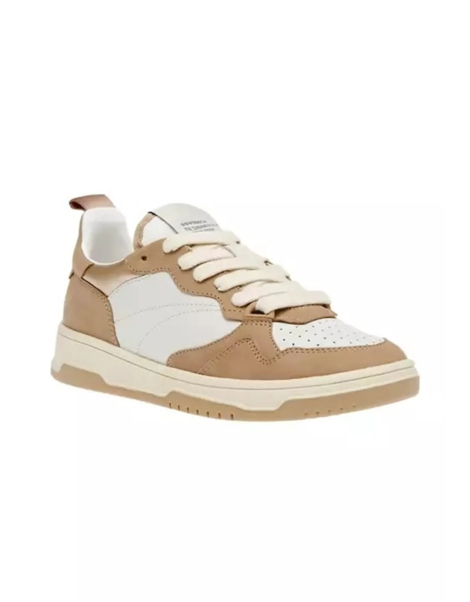 Steve Madden Everlie Tan Multi Sneaker